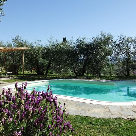 Agriturismo Il Castagnolino Σαν Τζιμινιάνο Εξωτερικό φωτογραφία
